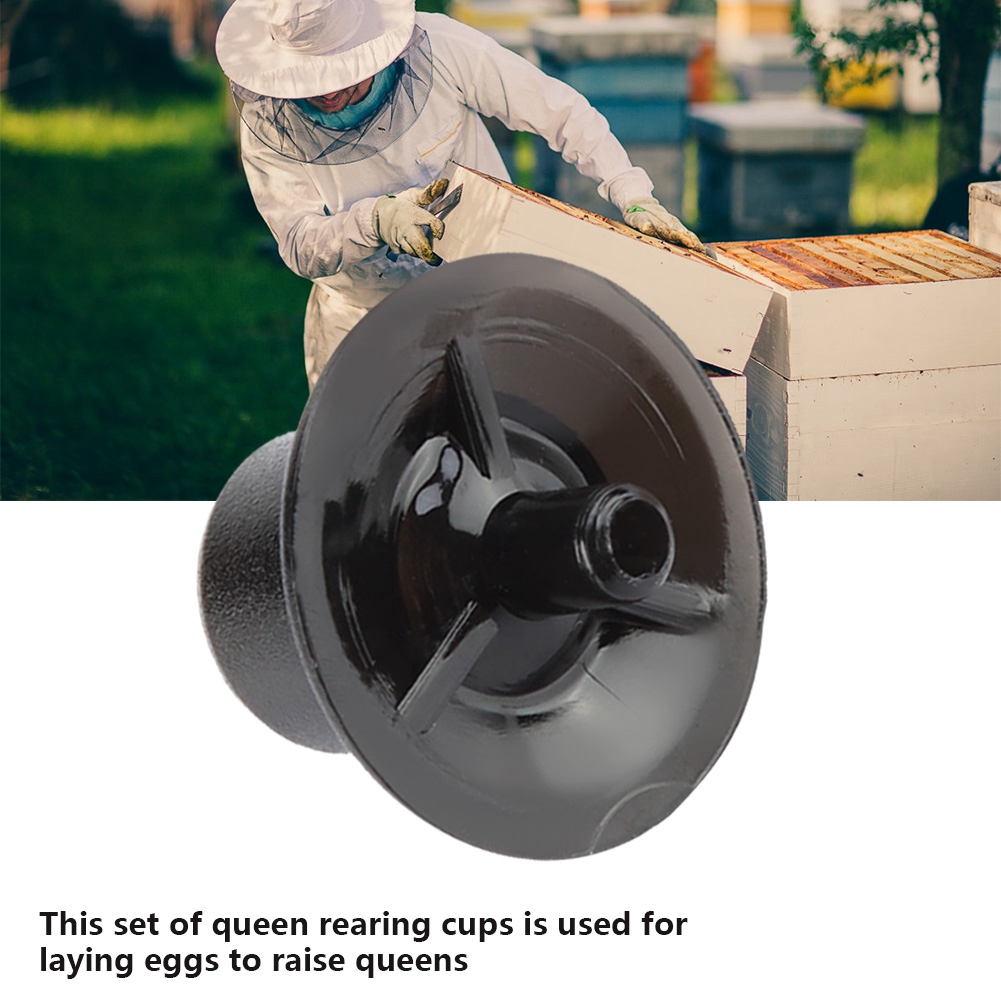 50pcs Beekeeping Queen Rearing Cell Cups Bee Keeper Equipment Tool Apicult KRI✈️