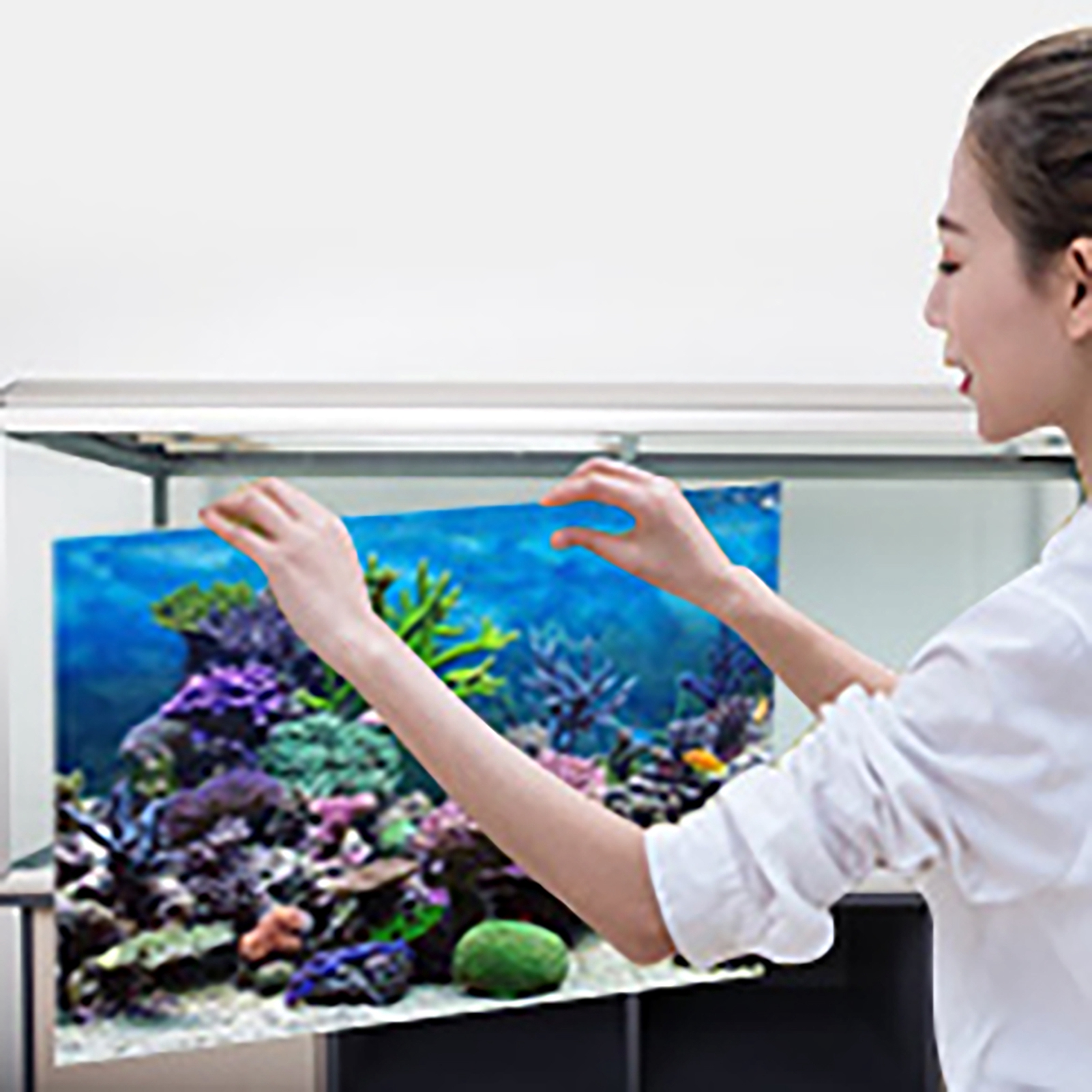Adhesive Seaworld Background Poster For Aquarium Fish Tank Decoration 61 X KRI✈️
