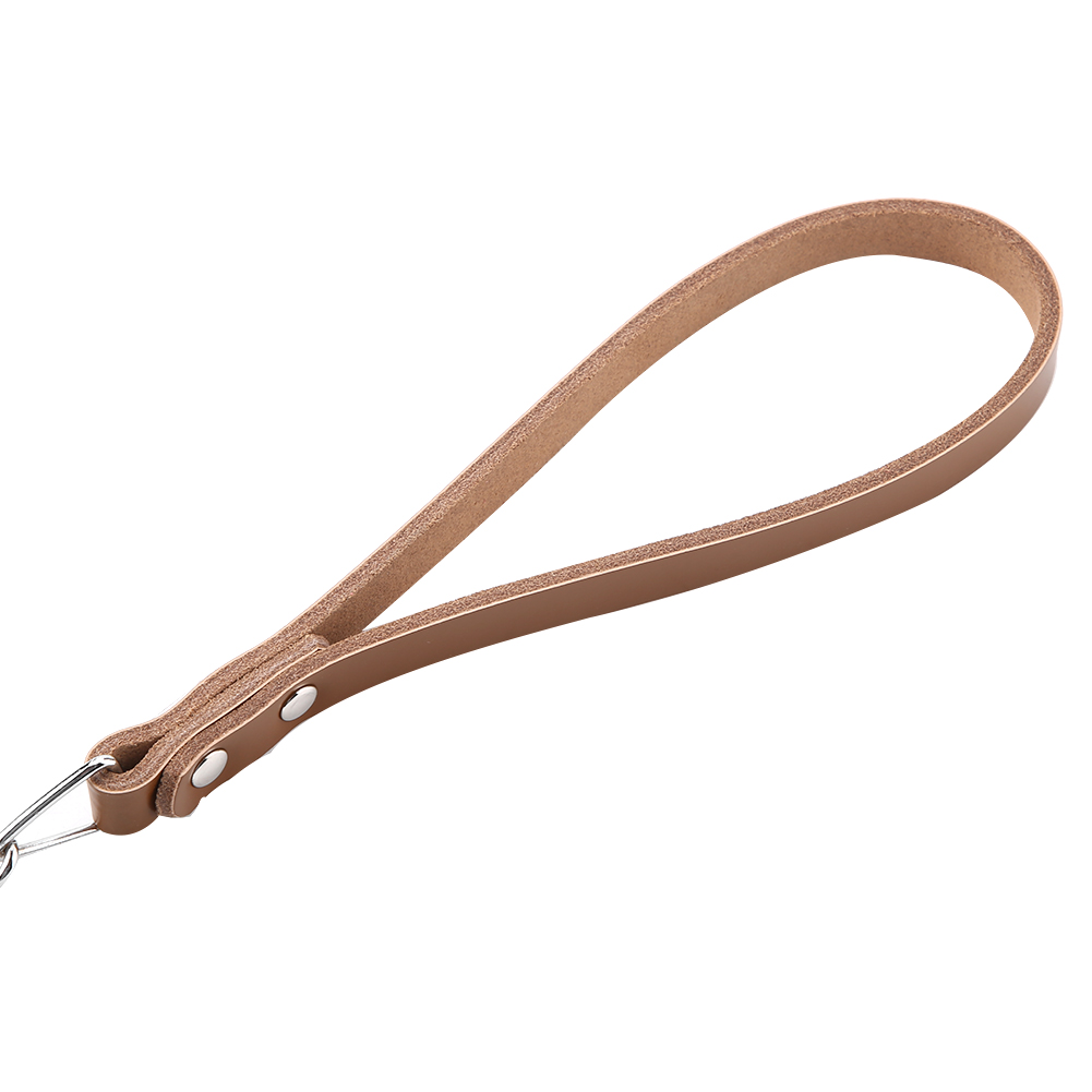 Metal Dog Leash Training Collar Rope Lead Strap With PU Handle (Brown) KRI✈️