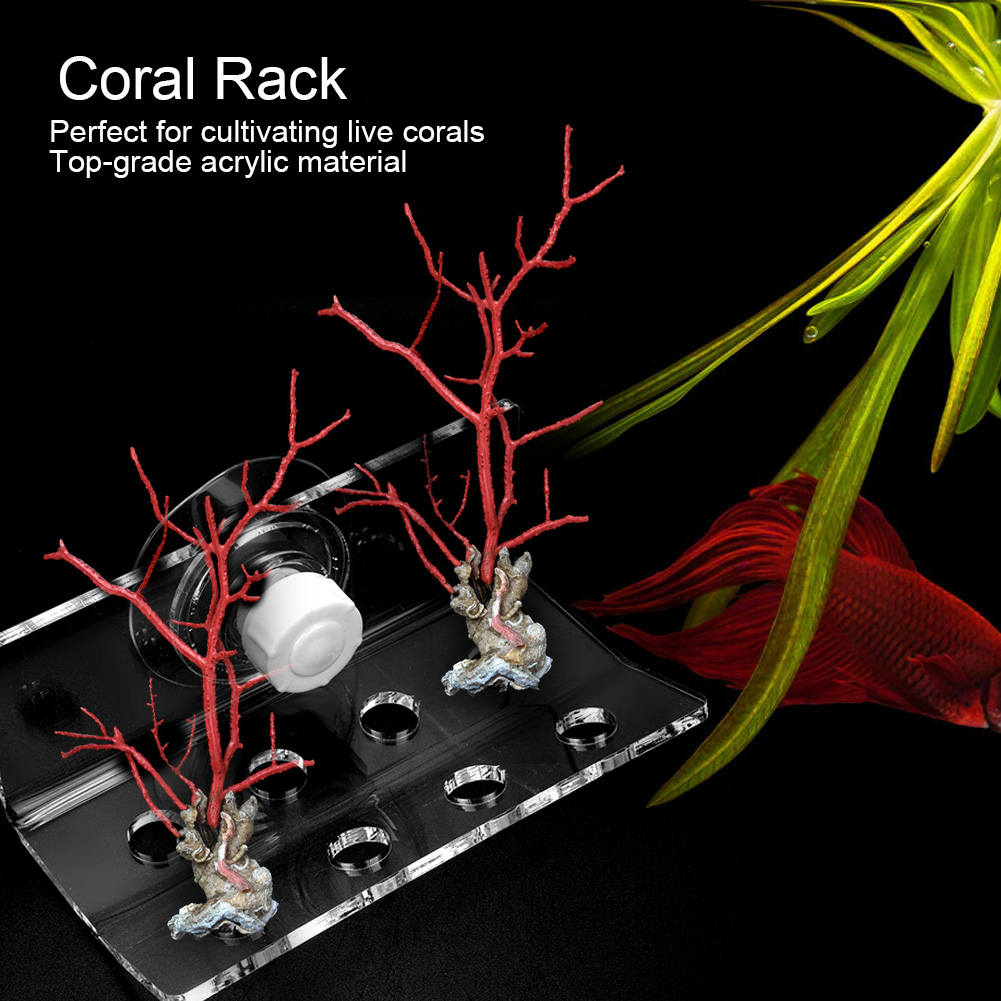 Acrylic Coral Rack Bracket Aquarium Fish Container Coral Frag Support With KRI✈️