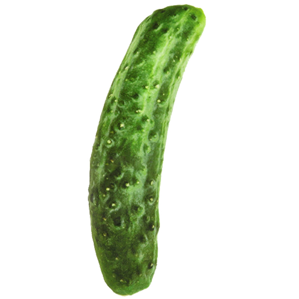 Pet Dog Plush Canvas Toy Simulation Vegetable Chew Squeak Toys(Cucumber Do KRI✈️