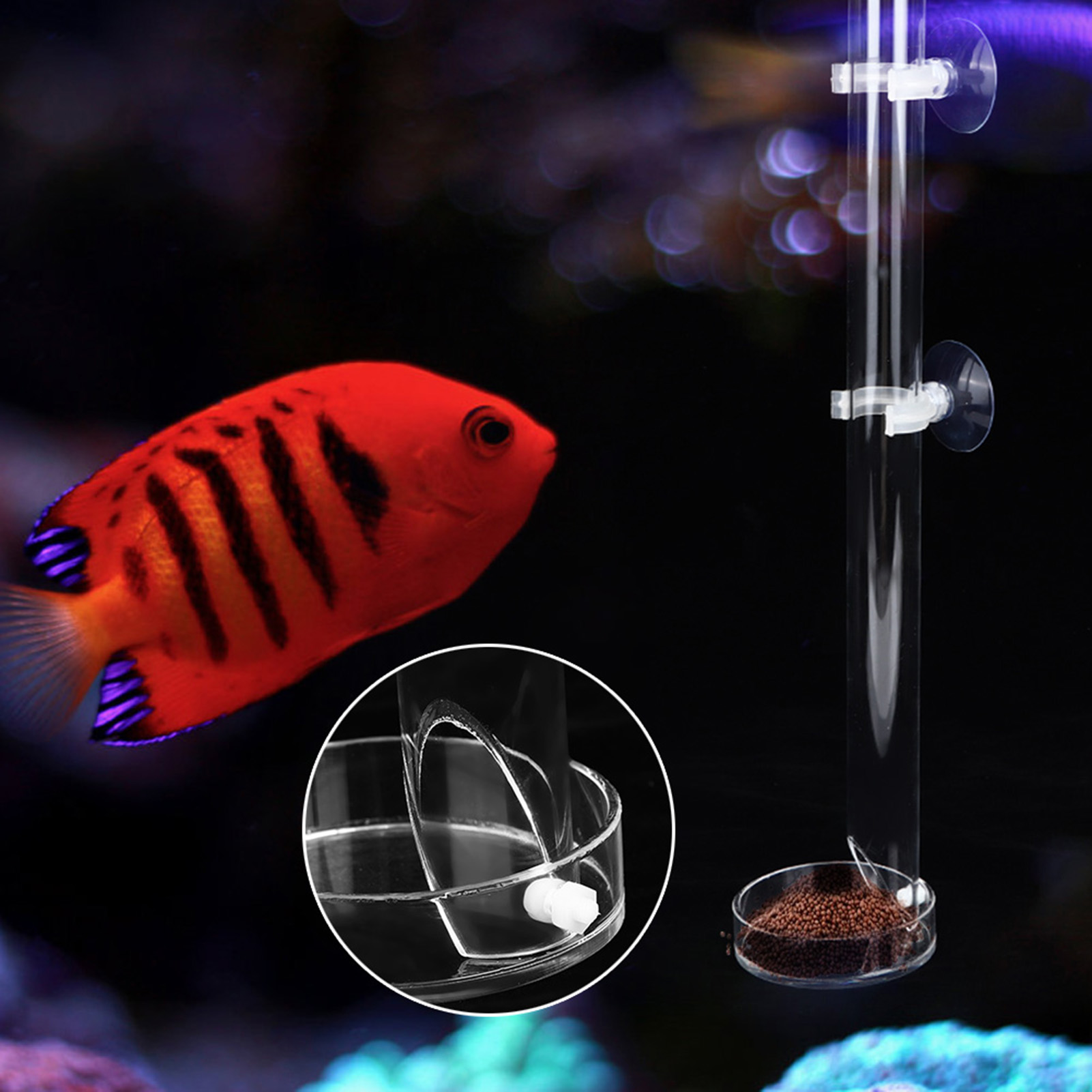 Acrylic Transparent Durable Aquarium Fish Shrimp Feeder Fish Tank Feeding KRI✈️