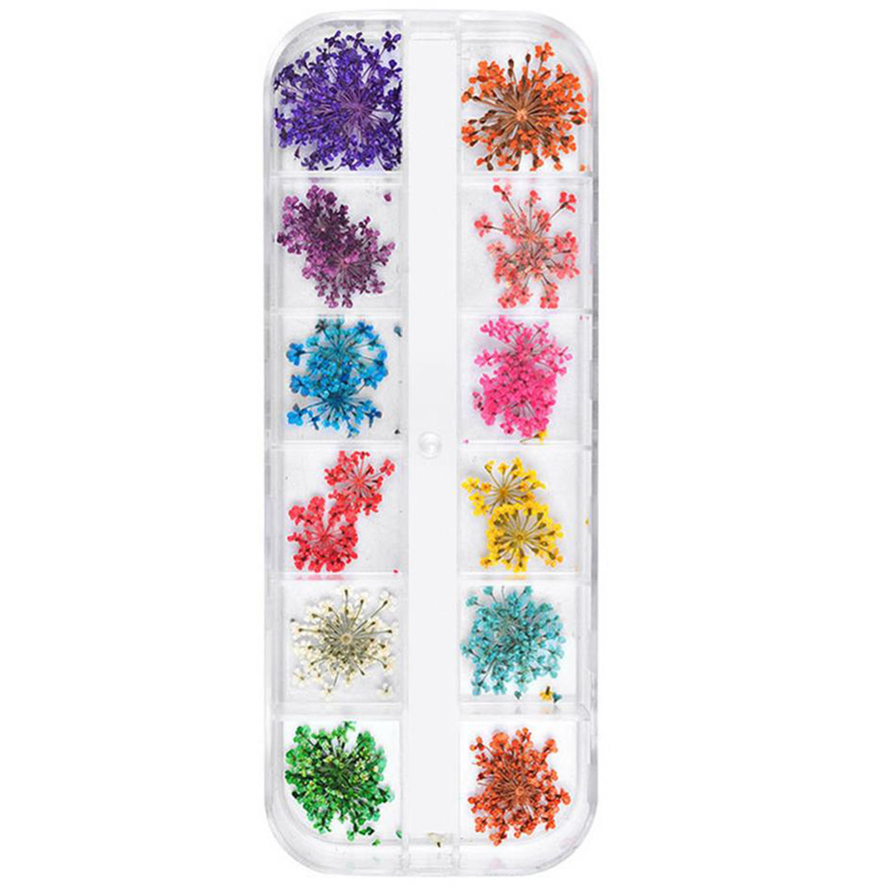 12 Colors Nail Natural Dry Flower Decor Manicure Sunflower Sticker Nail Ar KRI✈️
