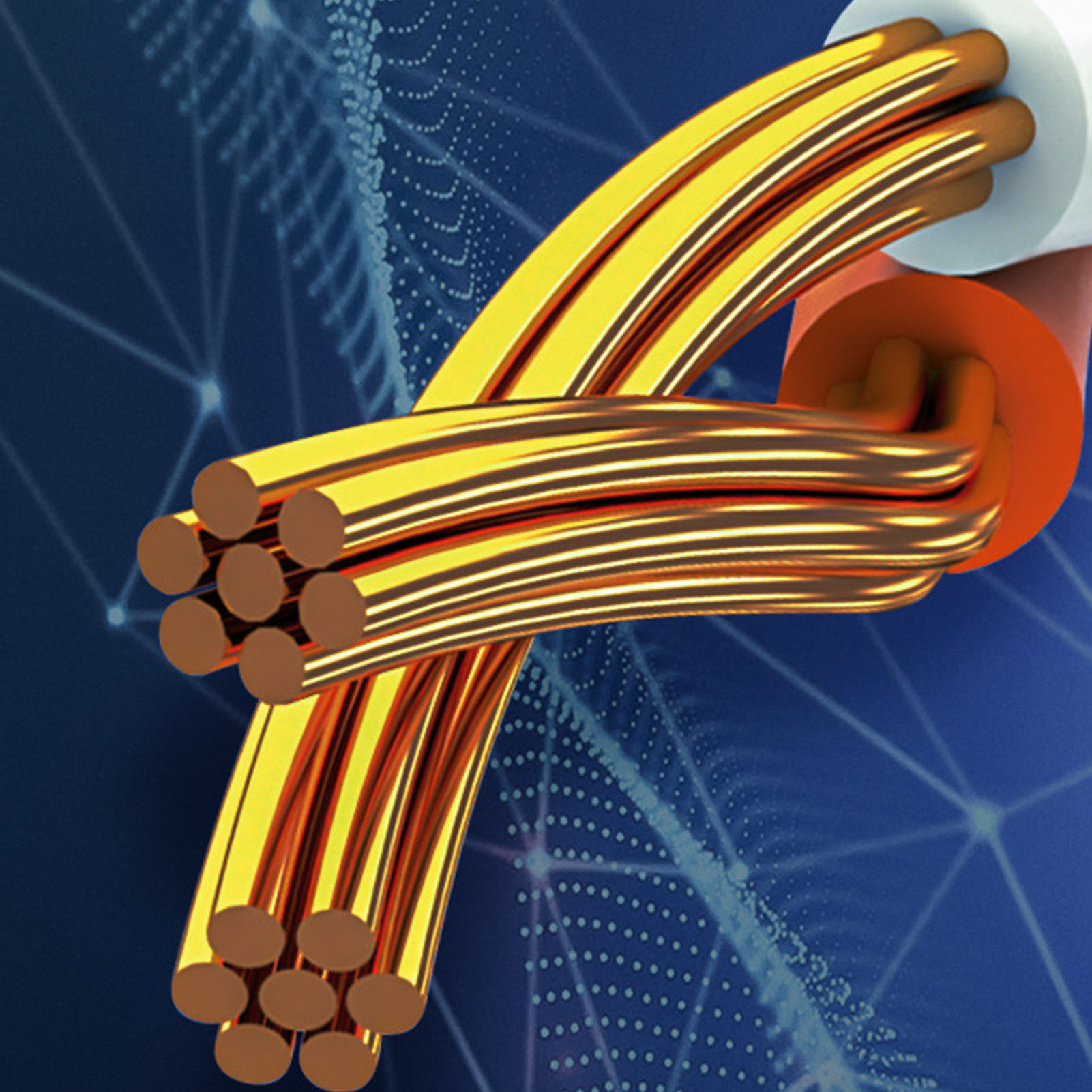 Cat 8 Network Cable 40Gbps High Speed 2000MHz Double Shielded 26AWG Cat 8 Eth FY - Afbeelding 19 van 29