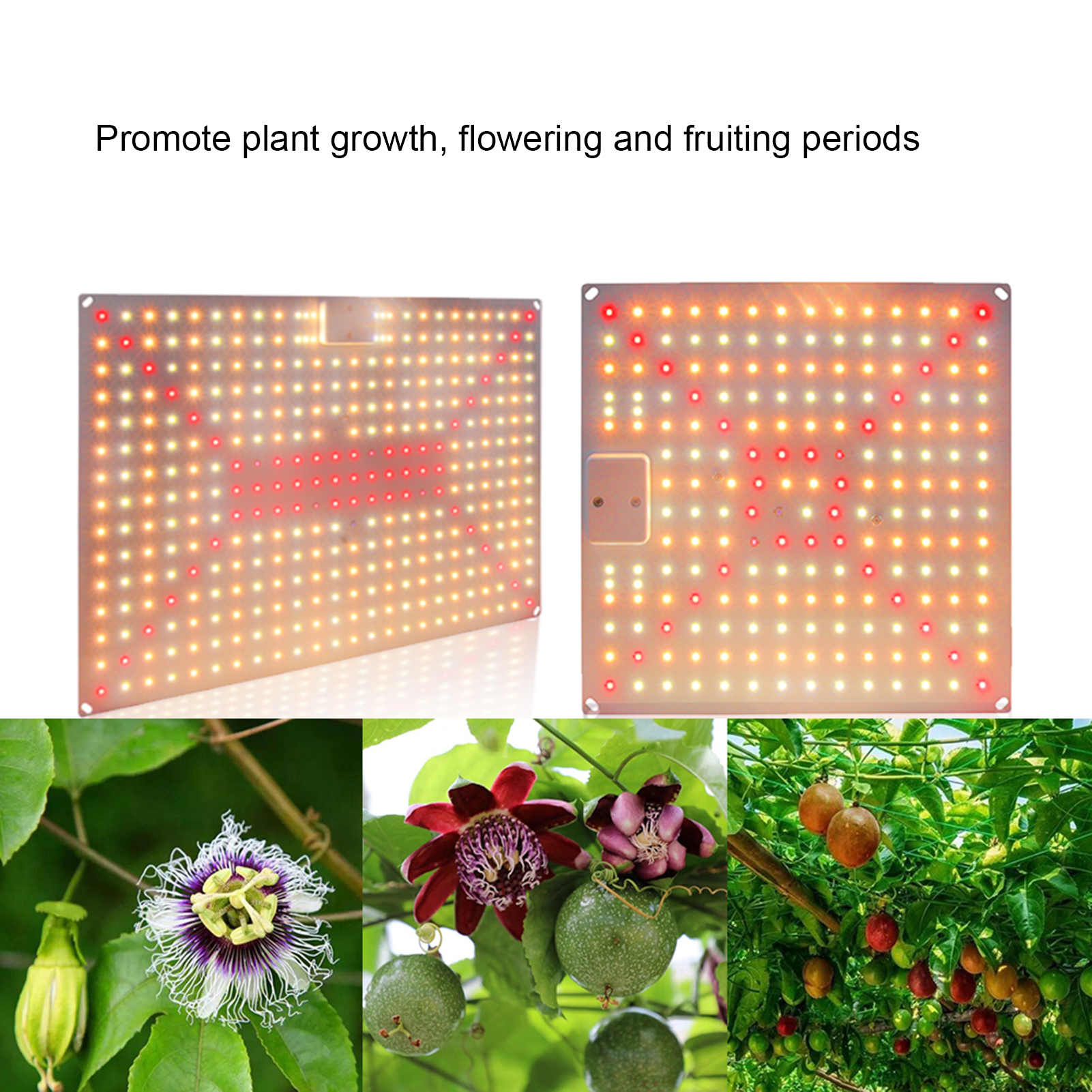 Plant Lamp LED Succulent Fill Light 50W Full Spectrum Plant Grow Light NOZD  | eBay