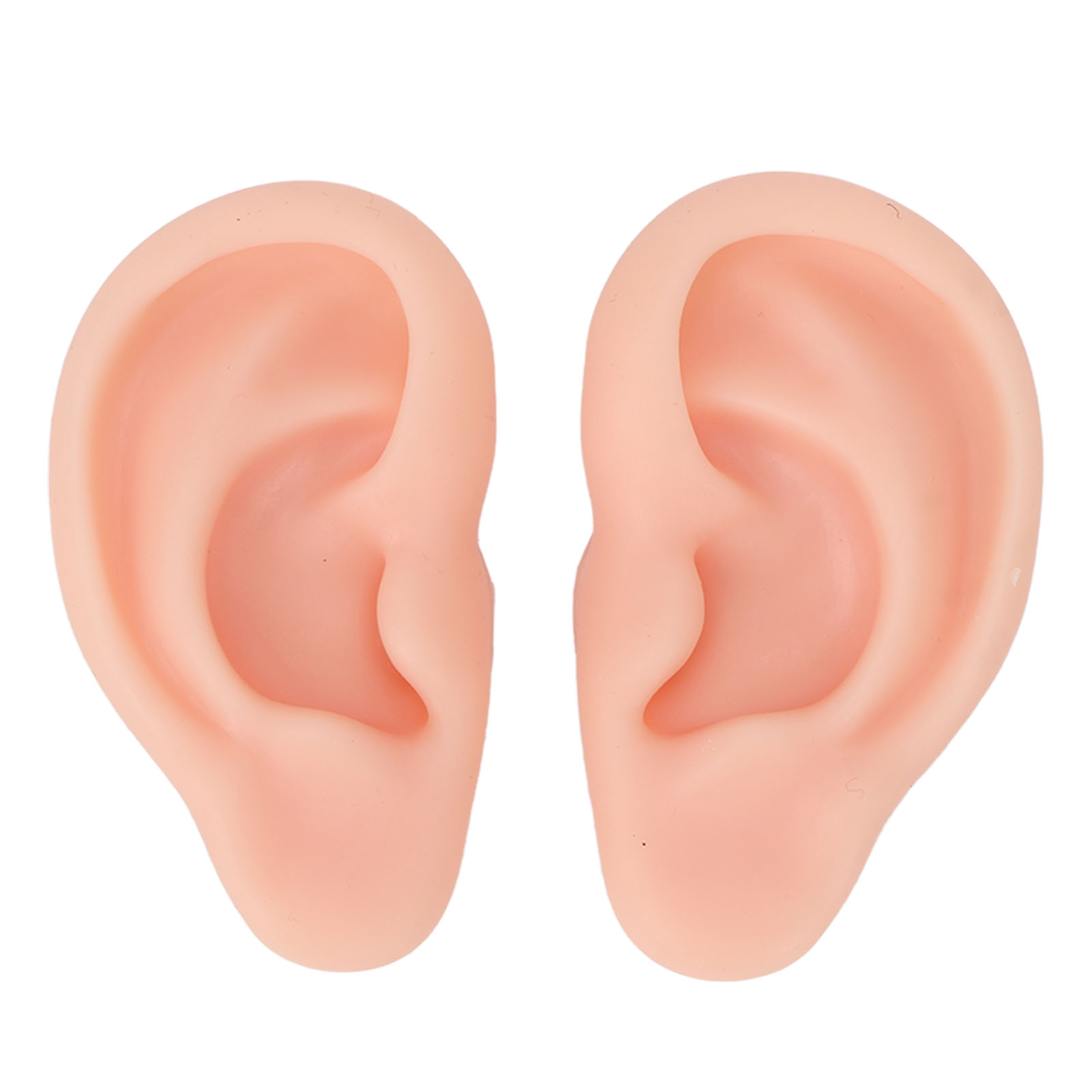 1 Pair Silicone Ear Model Soft Flexible Simulation Ear Model fo Exercise