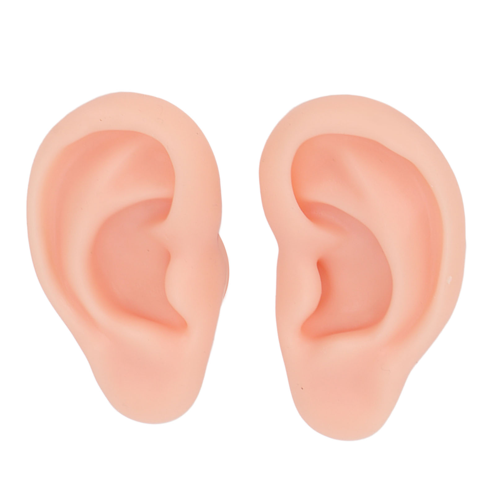 1 Pair Silicone Ear Model Soft Flexible Simulation Ear Model fo Exercise