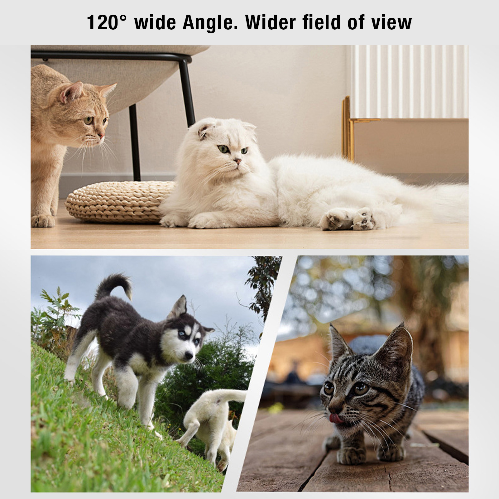 Pet Dog Cat Video Camera 120 Degree Lens OTG Connection Adjustable Sport Camera - Picture 18 of 18