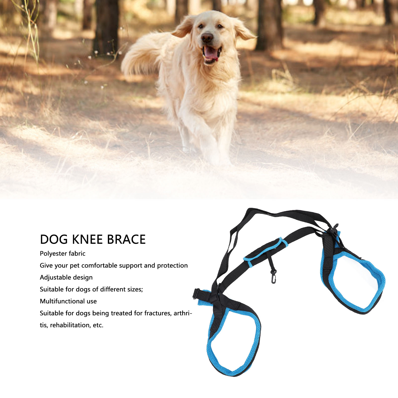 Dog Knee Brace Accelerate Recovery Support Adjustable Dog Back Leg Brace New - Picture 25 of 29
