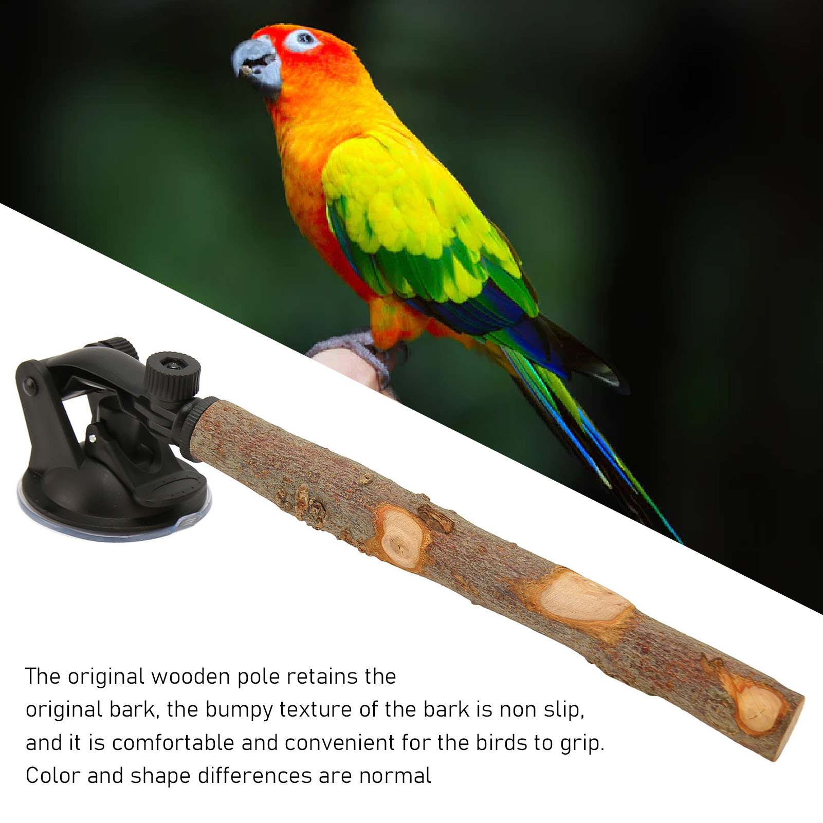 Wood Birds Perch Prevent Slip Interactive Bird Window Perch Stand with Suction - Picture 20 of 21