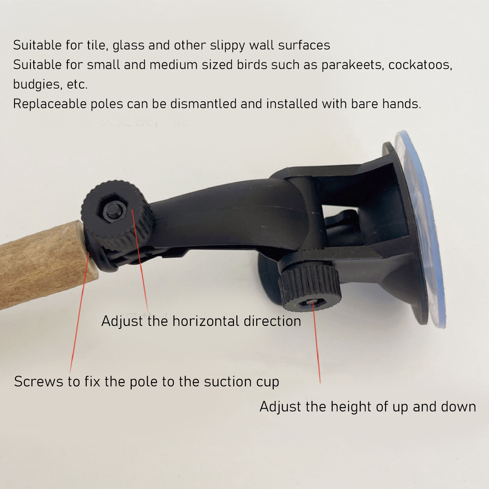 Wood Birds Perch Prevent Slip Interactive Bird Window Perch Stand with Suction - Picture 19 of 21