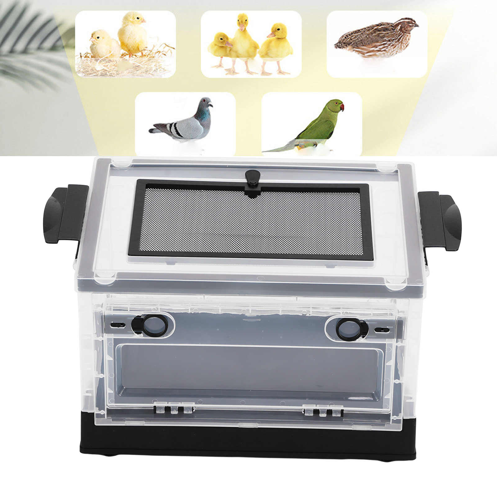 Pet Terrarium Foldable Front Opening Door Breathable Small Animal Tank
