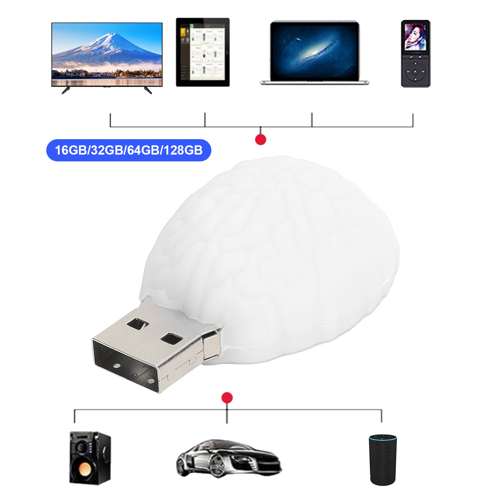 Afbeelding 25 van 31