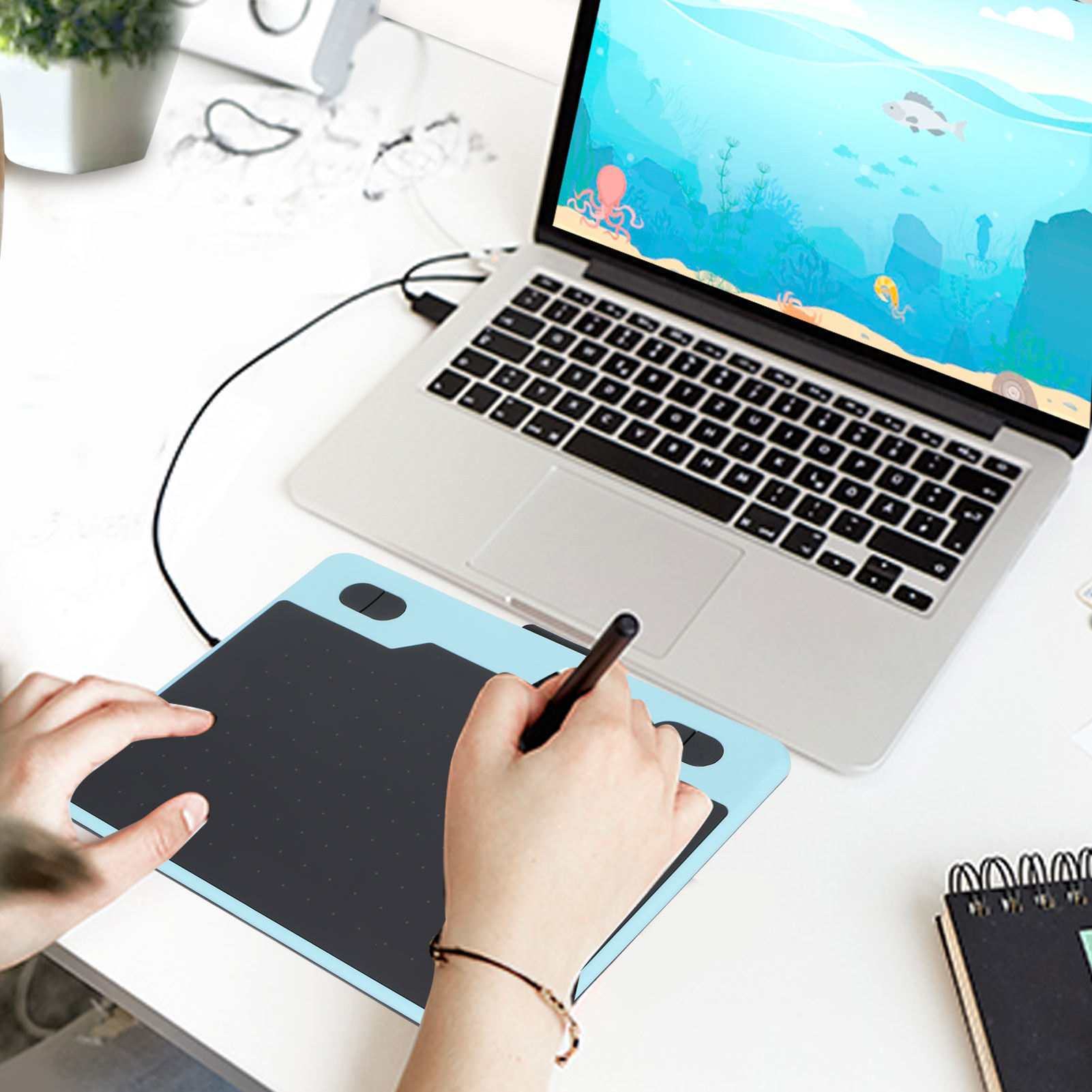 Afbeelding 28 van 31