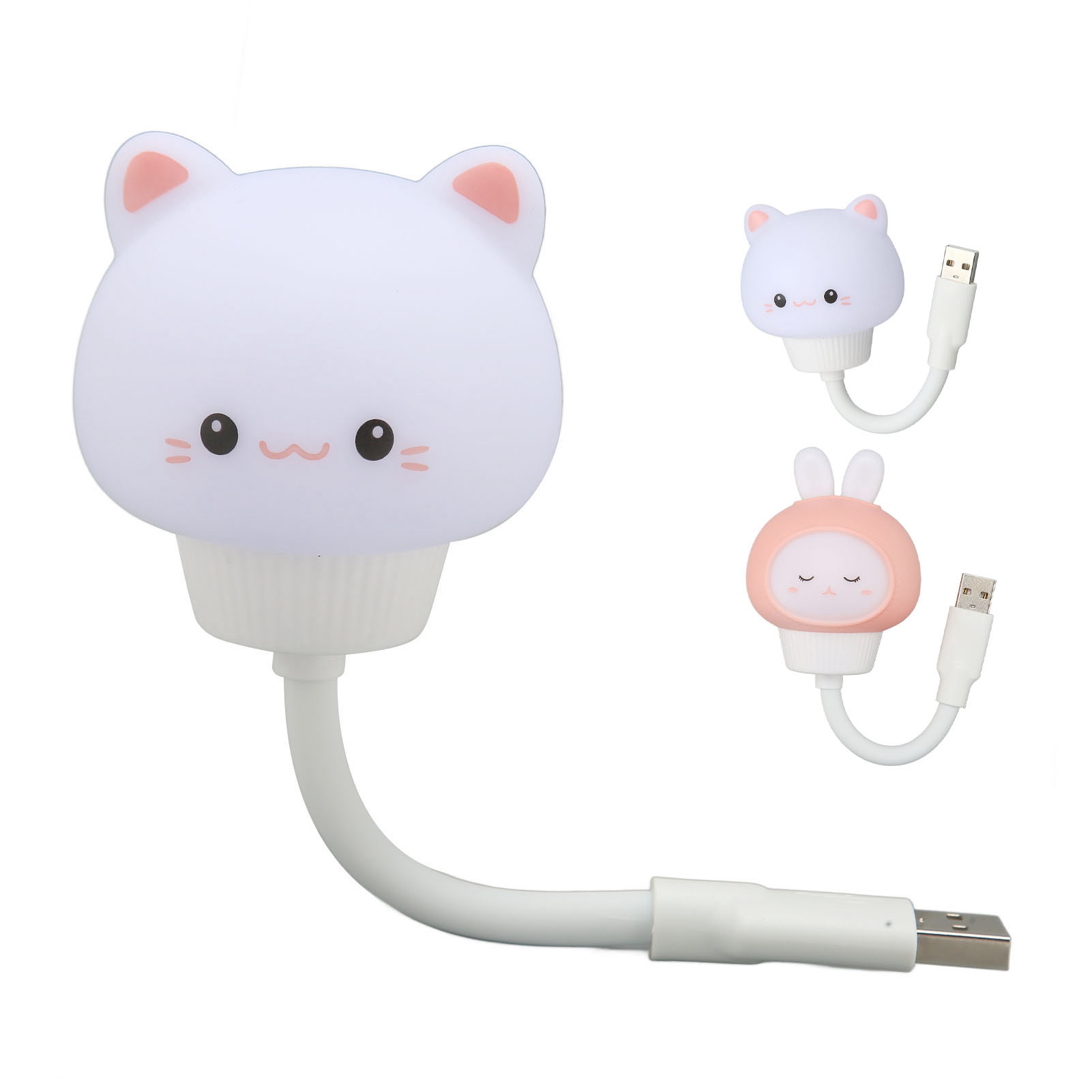 Afbeelding 11 van 13