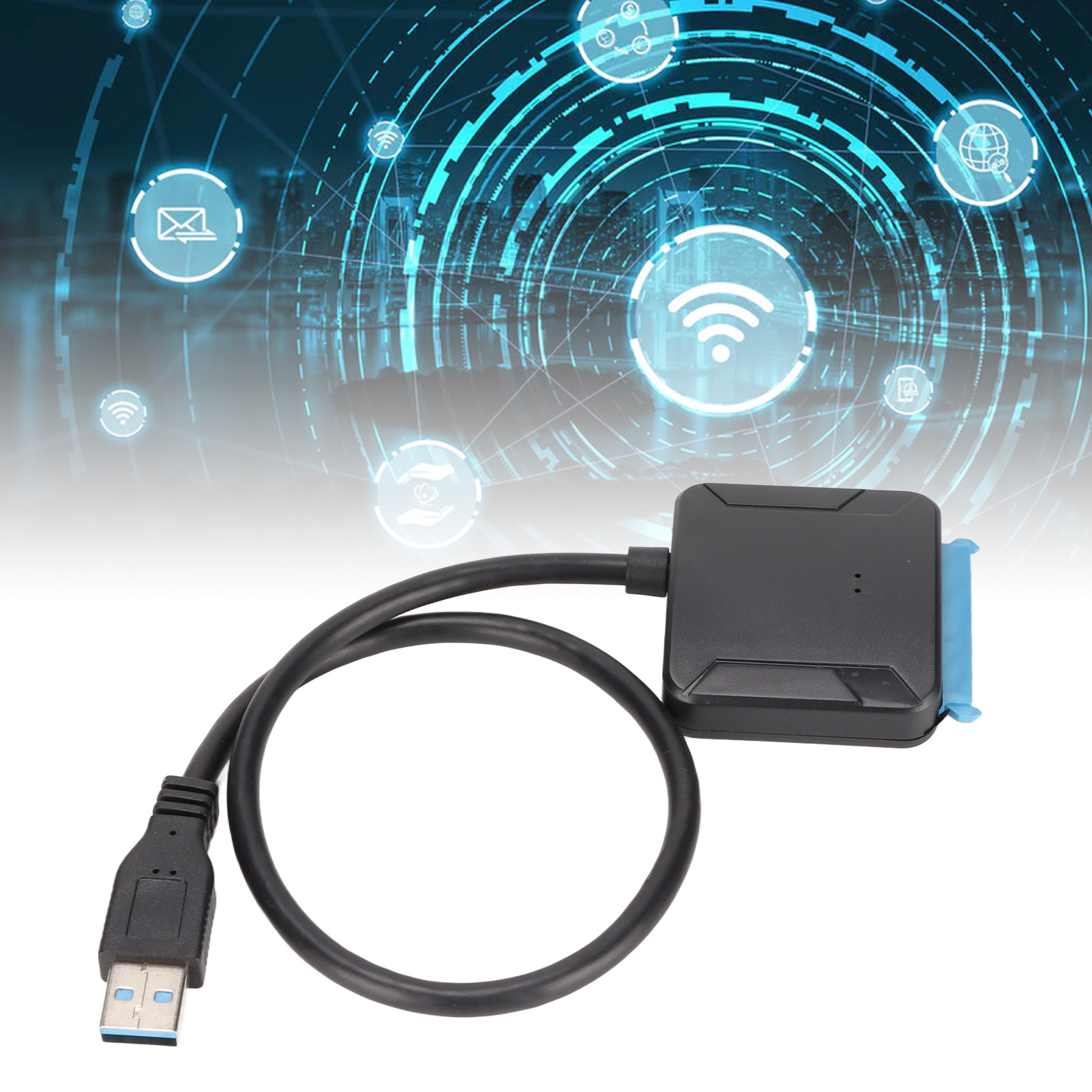 Afbeelding 31 van 31