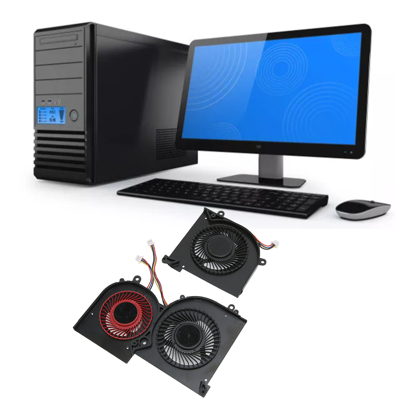 Afbeelding 26 van 31