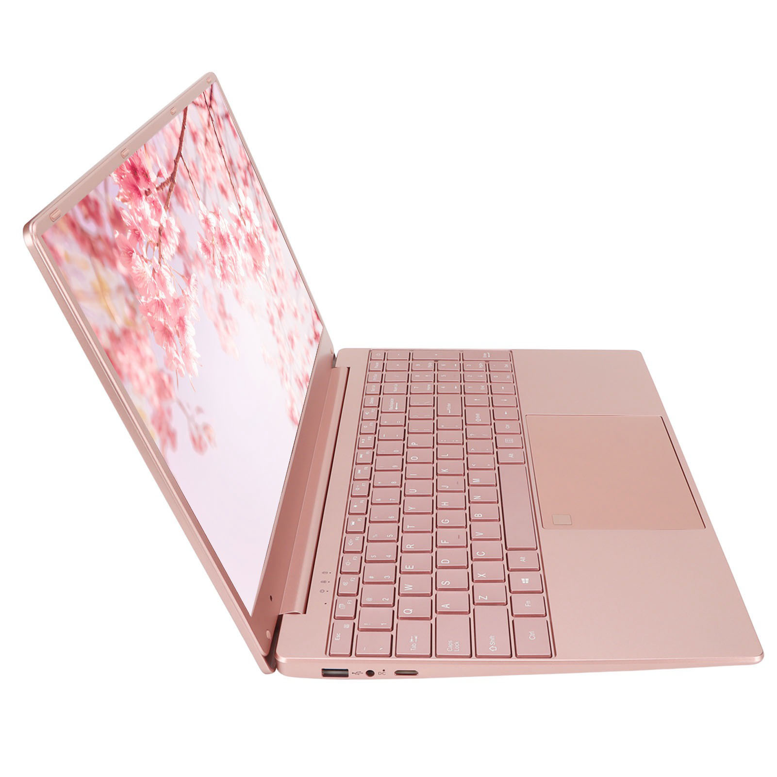 15.6in Laptop For N5095 CPU For 11 System 12G RAM 2.4g 5g WIFI Pinkish L NEW - Afbeelding 14 van 18