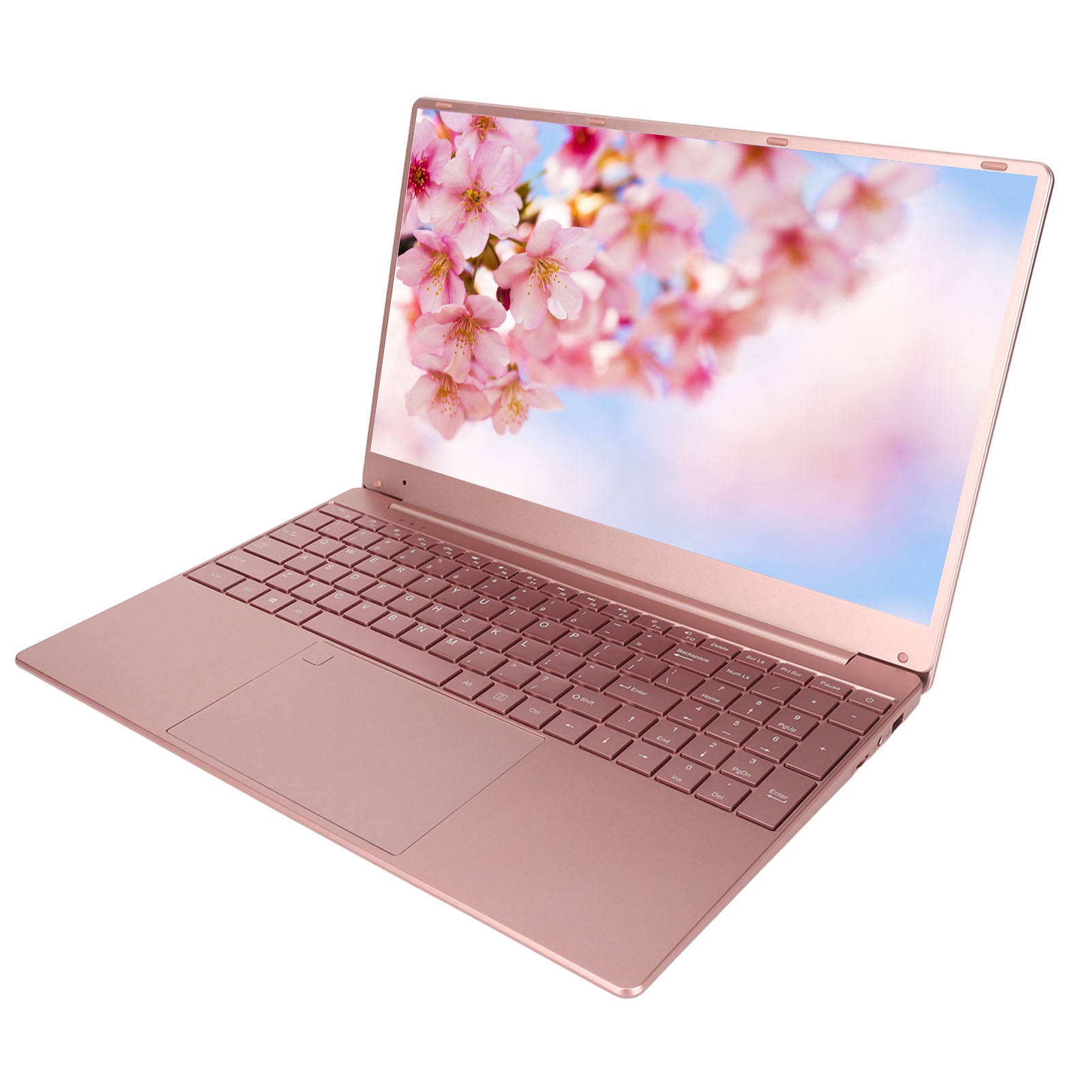 Pinkish Laptop 15.6in IPS Display Quad Core CPU 16GB RAM 512GB ROM Fingerpri NEW - Afbeelding 16 van 18