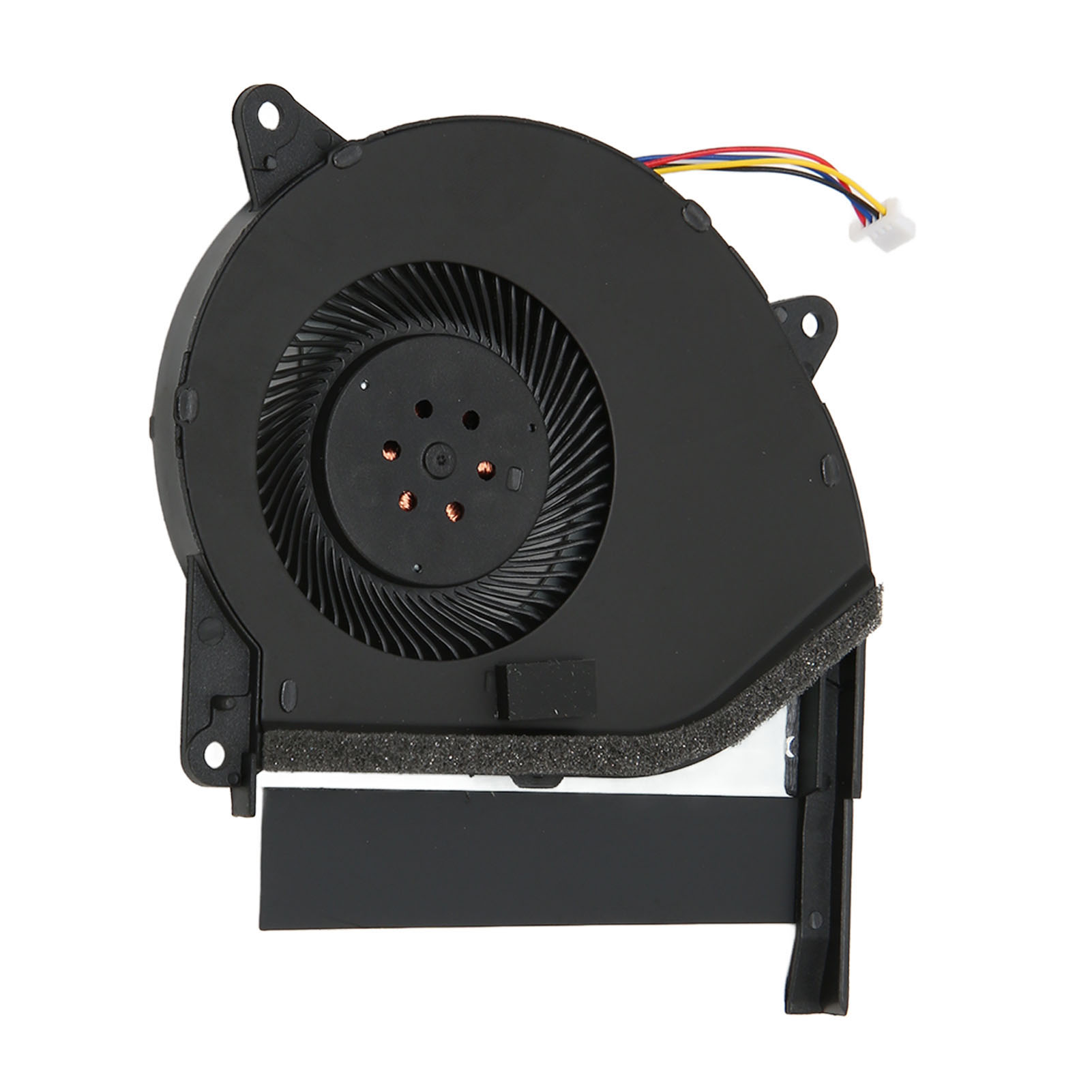 Afbeelding 31 van 31