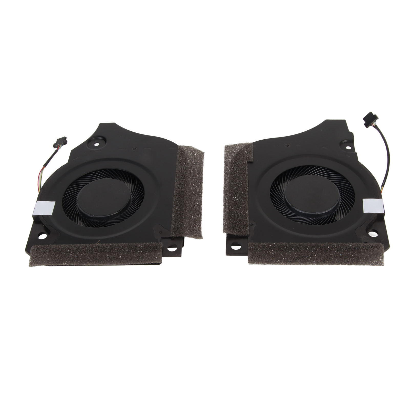 Afbeelding 31 van 31