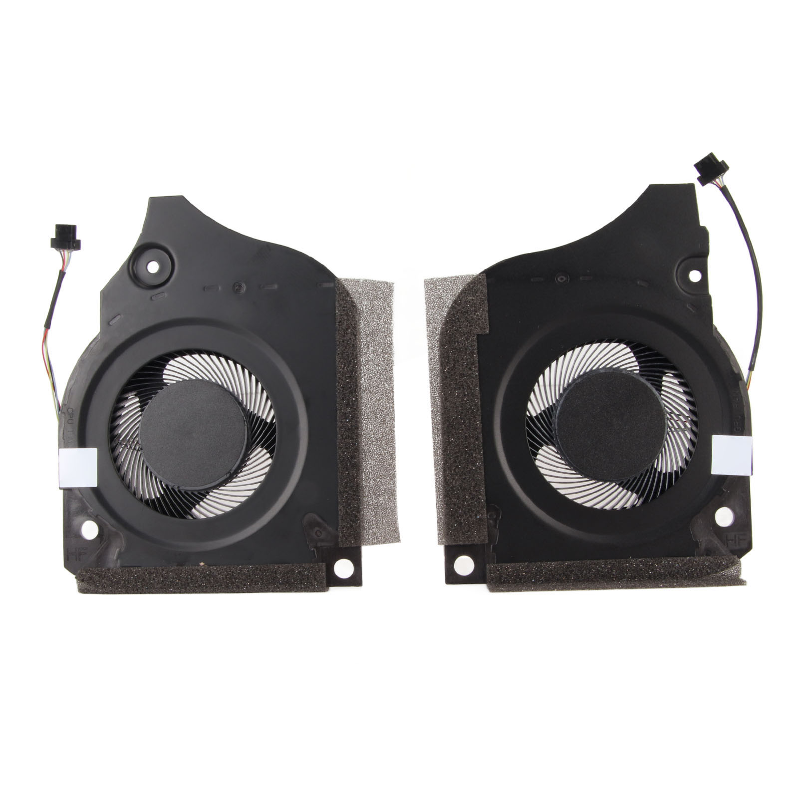 Afbeelding 25 van 31