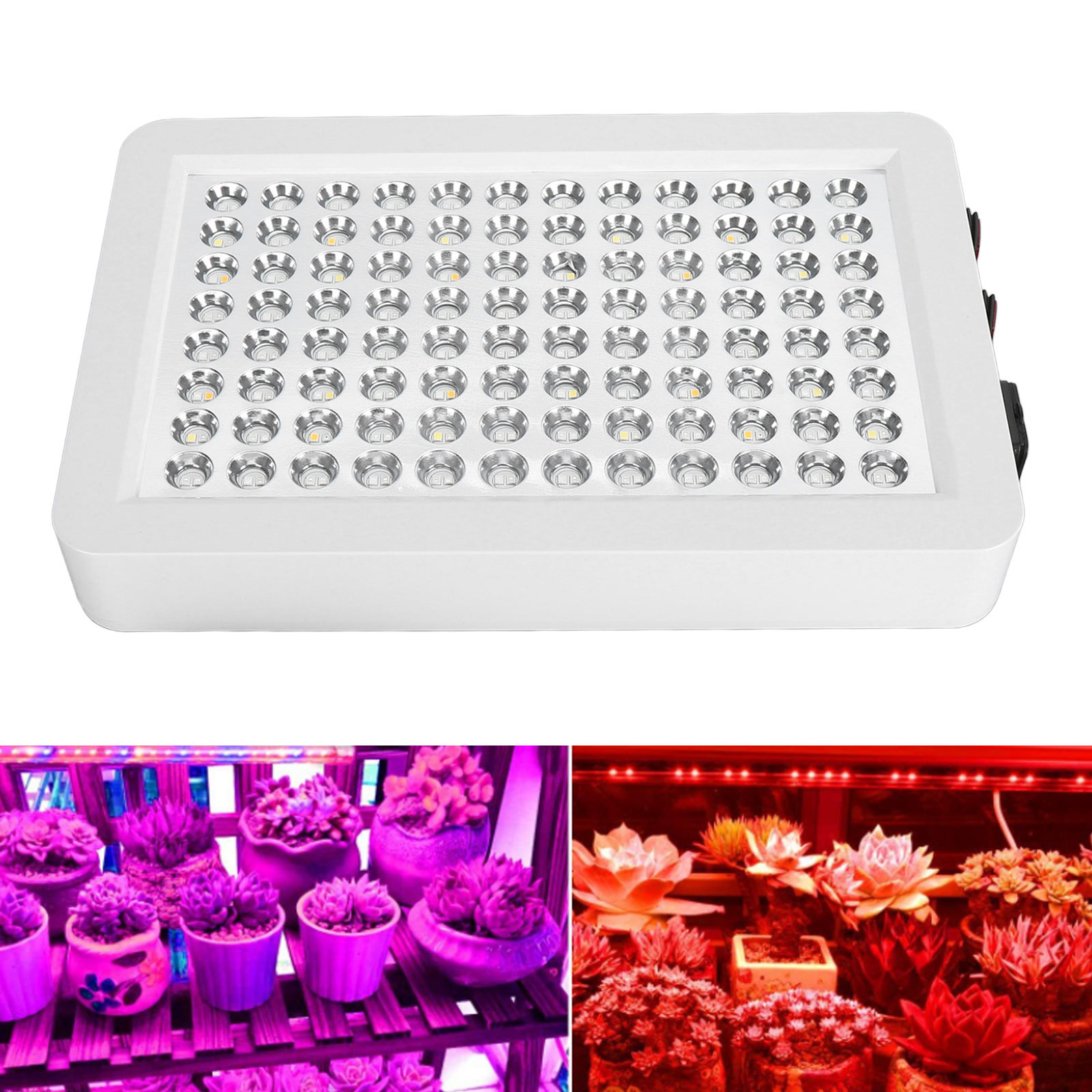 1000W LED Grow Light Full Spectrum Energy Efficient for Indoor Plants - Picture 15 of 18