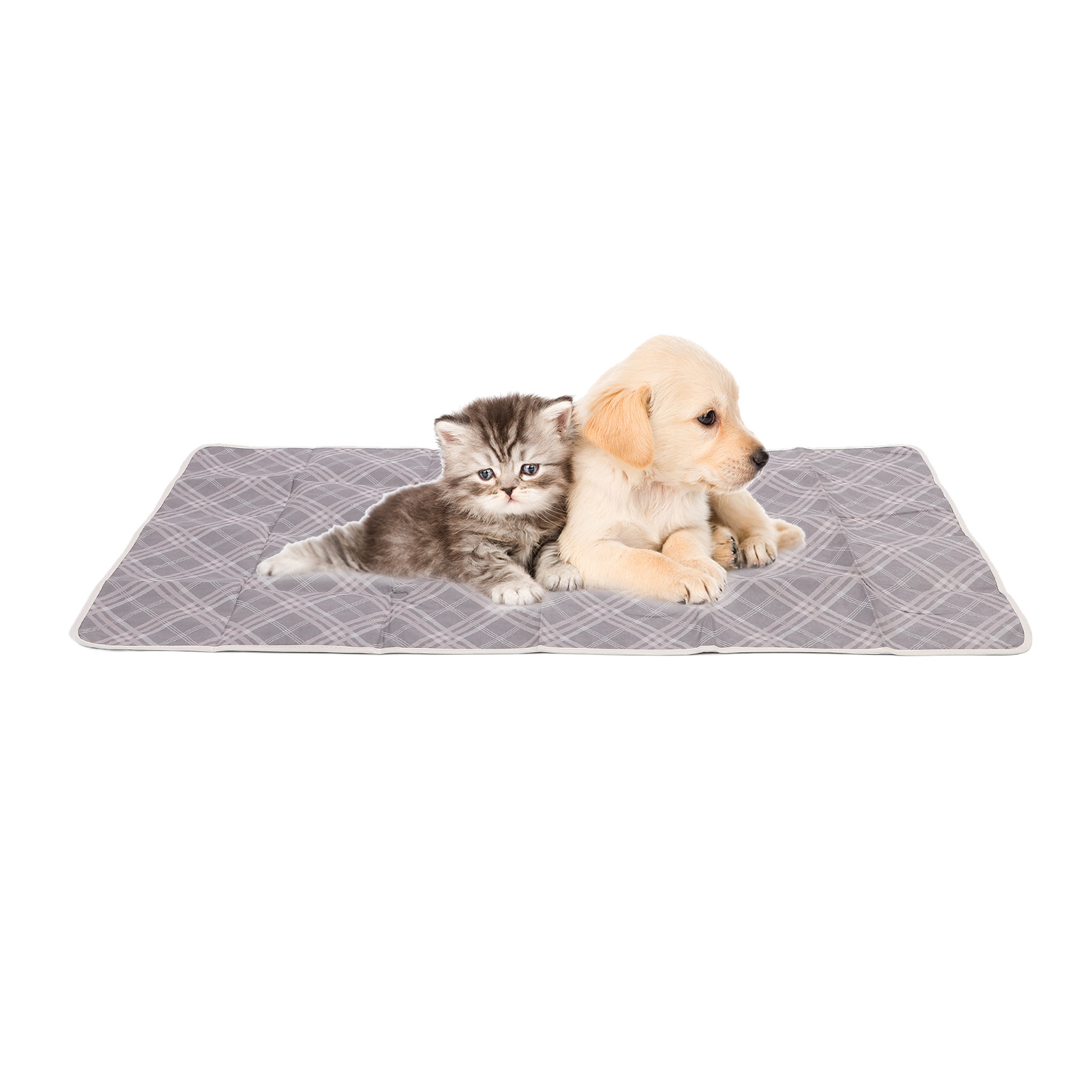 Pad pipì per animali domestici lavabile ad alto assorbimento impermeabile riutilizzabile addestramento cane gatto US - Foto 27 di 30