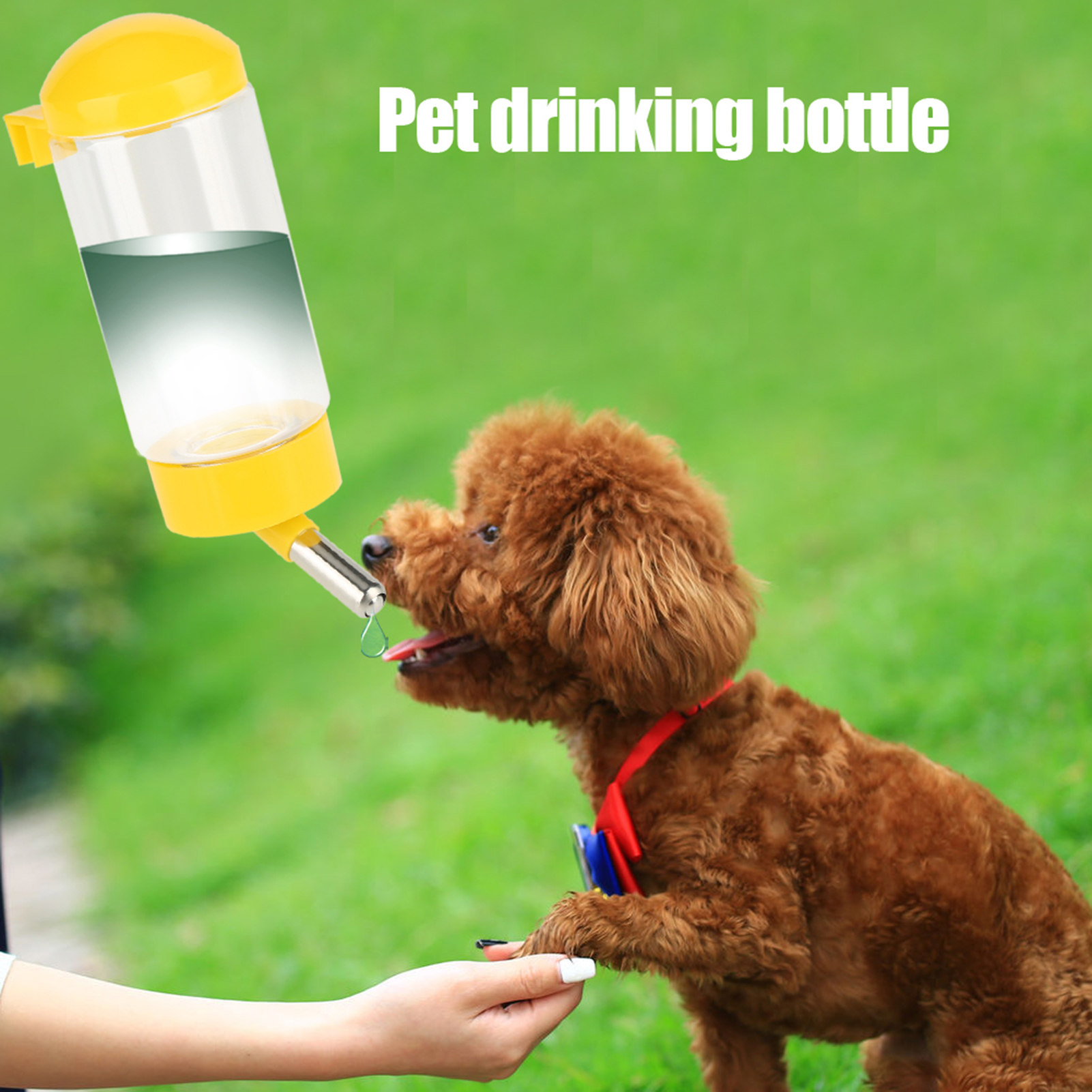 Leak Resistant Automatic Animal Water Bottle Ball Nozzle Rabbit Dog Cat Drinking