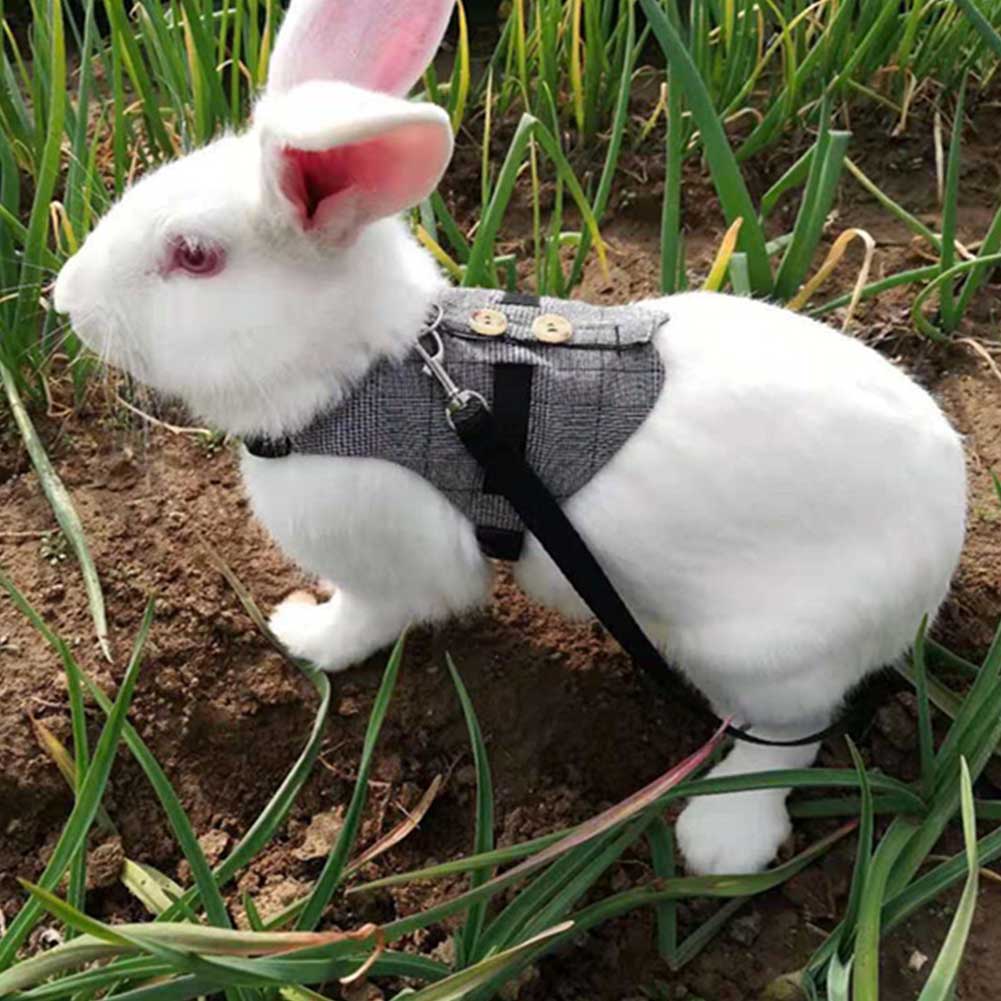 Soft Rabbit Breathable Harness With Leash Gentlemanly Style