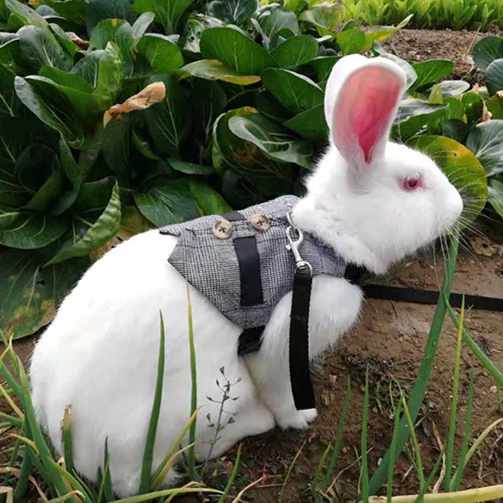 Soft Rabbit Breathable Harness With Leash Gentlemanly Style