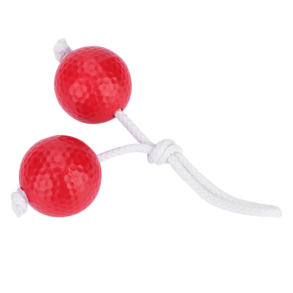Leiter Golfball 2 Farben Leiter Golfball Bolas Set Unterrichtswerkzeug Leiter